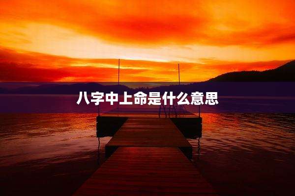八字中上命是什么意思