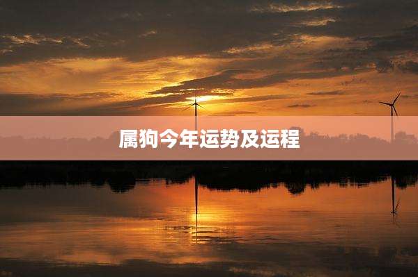 属狗今年运势及运程
