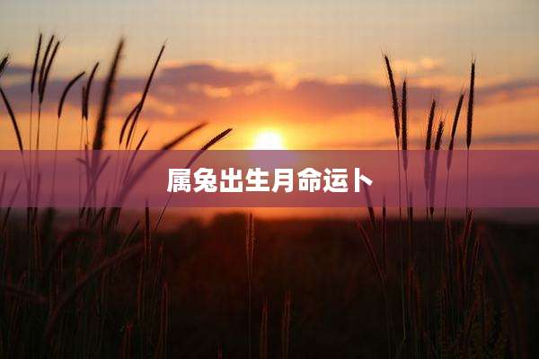 属兔出生月命运卜