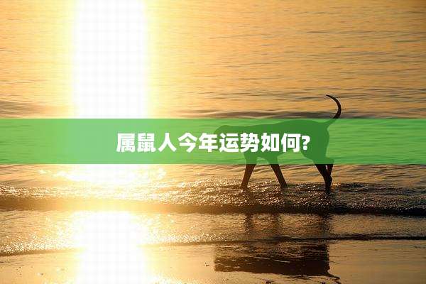 属鼠人今年运势如何?