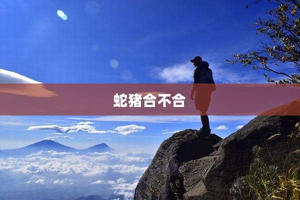 蛇猪合不合