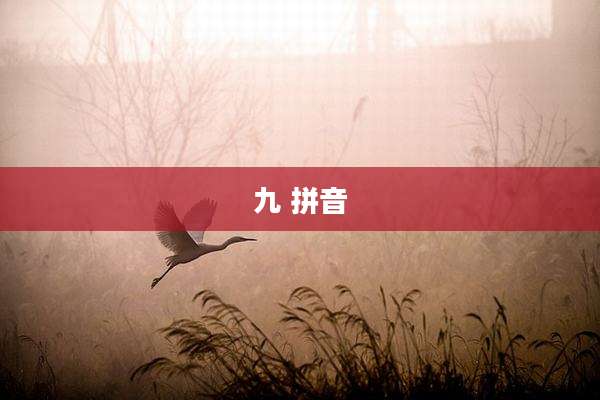 九 拼音