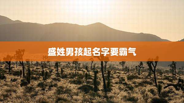 盛姓男孩起名字要霸气