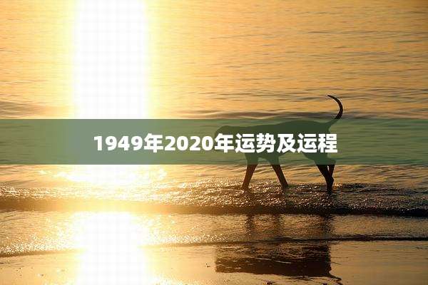 1949年2020年运势及运程