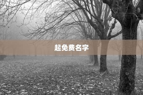 起免费名字
