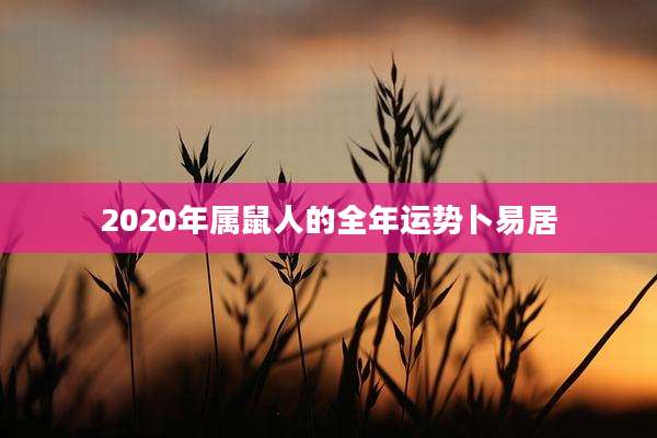 2020年属鼠人的全年运势卜易居