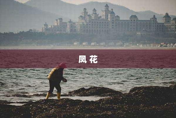 凤 花