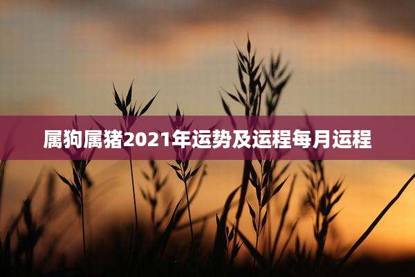 属狗属猪2021年运势及运程每月运程