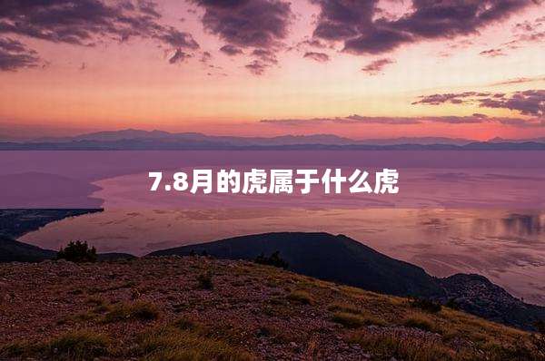 7.8月的虎属于什么虎
