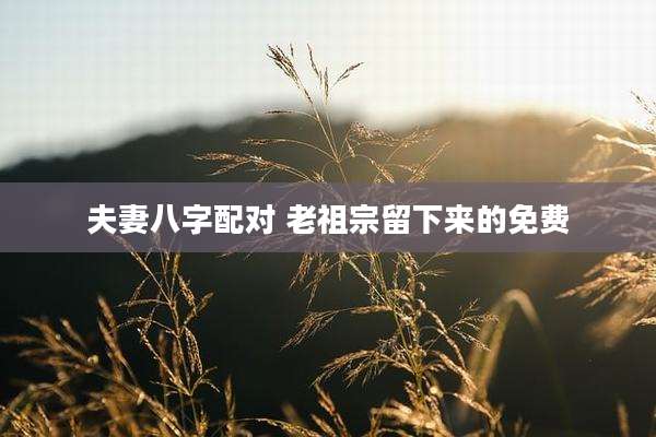 夫妻八字配对 老祖宗留下来的免费