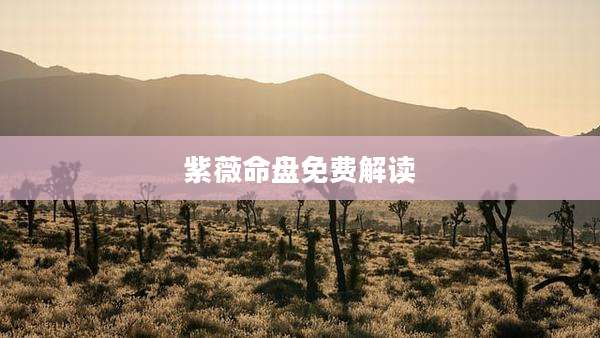 紫薇命盘免费解读