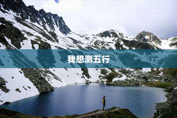 我想测五行