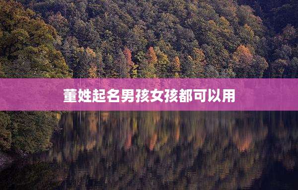 董姓起名男孩女孩都可以用
