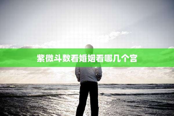 紫微斗数看婚姻看哪几个宫