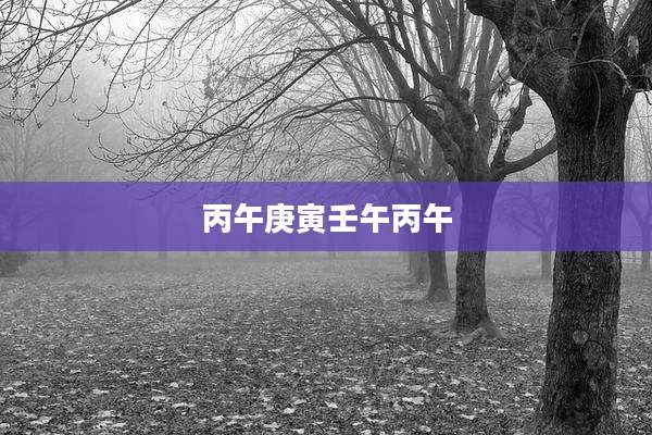 丙午庚寅壬午丙午