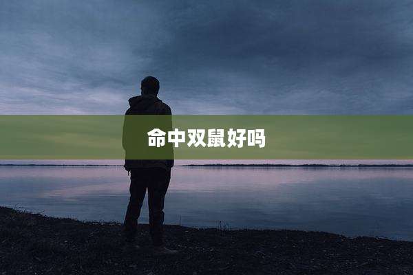 命中双鼠好吗