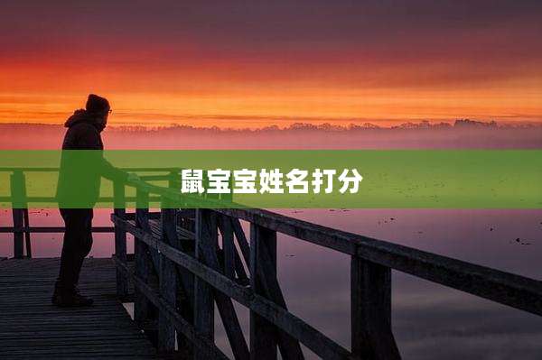 鼠宝宝姓名打分