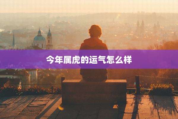 今年属虎的运气怎么样