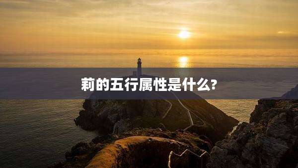 莉的五行属性是什么?