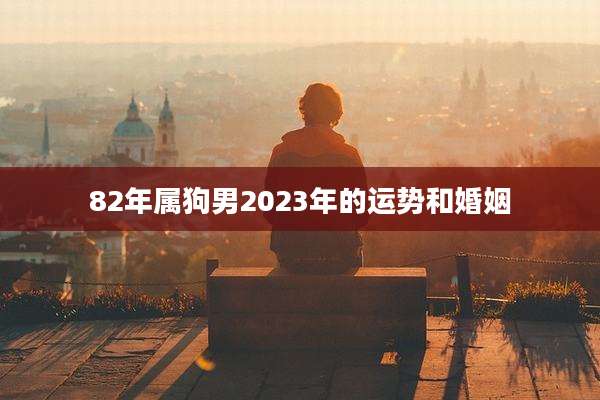 82年属狗男2023年的运势和婚姻