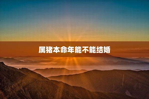 属猪本命年能不能结婚