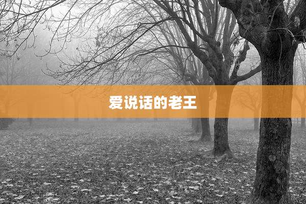 爱说话的老王