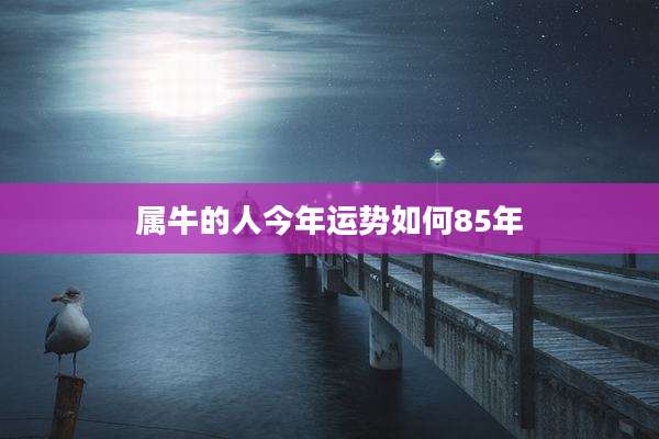 属牛的人今年运势如何85年