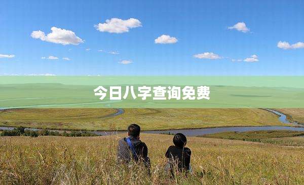 今日八字查询免费