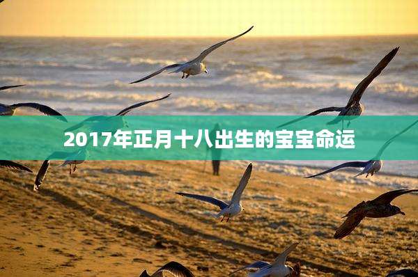 2017年正月十八出生的宝宝命运