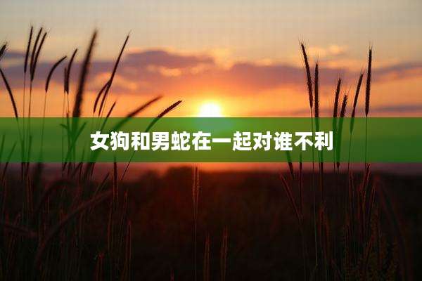 女狗和男蛇在一起对谁不利