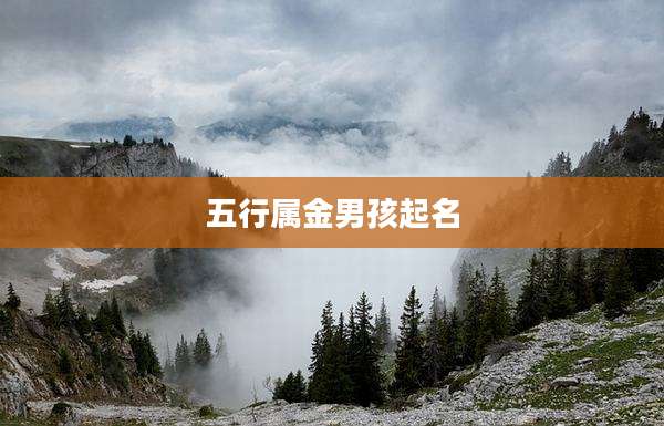 五行属金男孩起名