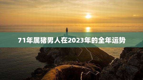 71年属猪男人在2023年的全年运势