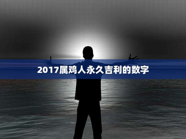 2017属鸡人永久吉利的数字