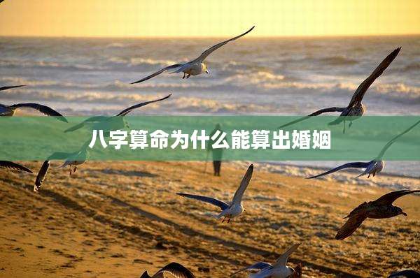 八字算命为什么能算出婚姻
