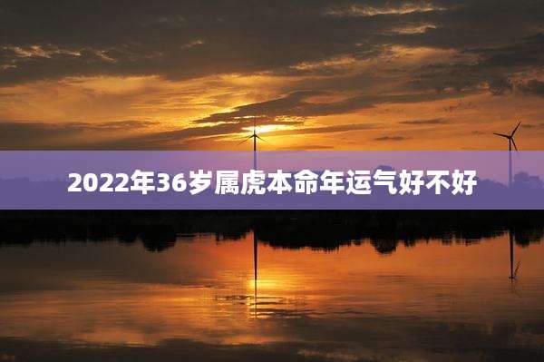 2022年36岁属虎本命年运气好不好