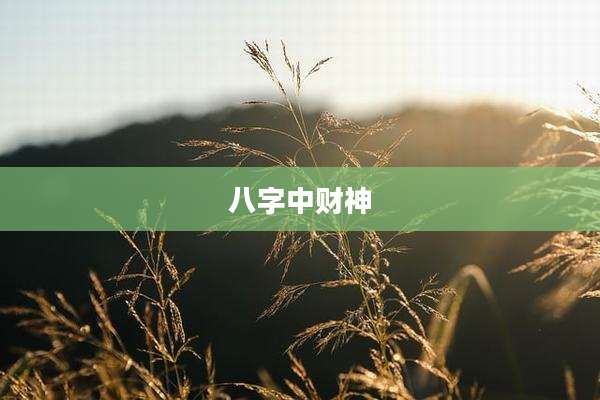 八字中财神