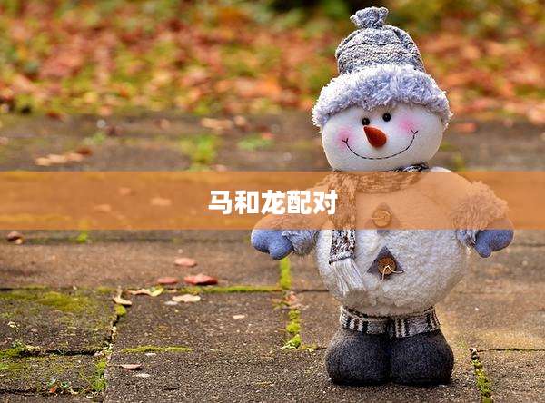 马和龙配对