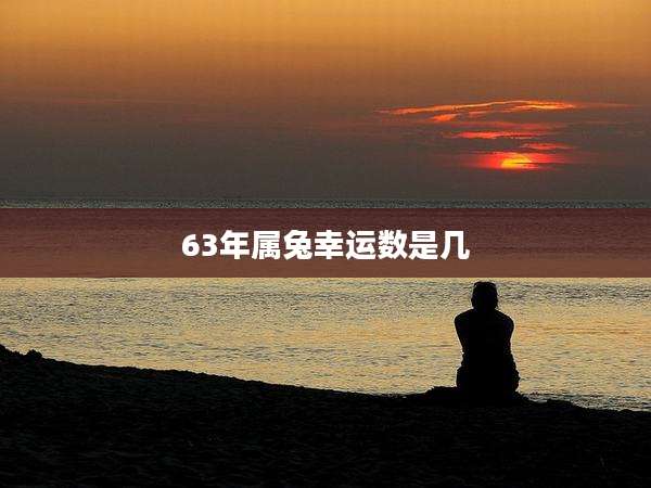 63年属兔幸运数是几