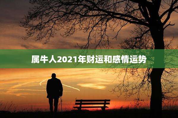 属牛人2021年财运和感情运势