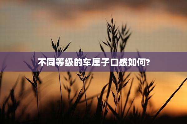 不同等级的车厘子口感如何?
