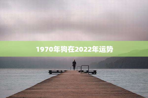 1970年狗在2022年运势
