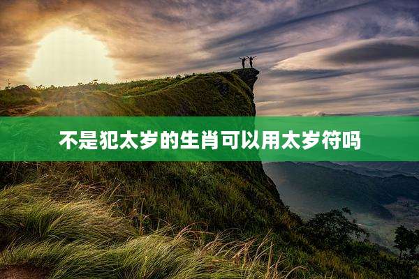 不是犯太岁的生肖可以用太岁符吗