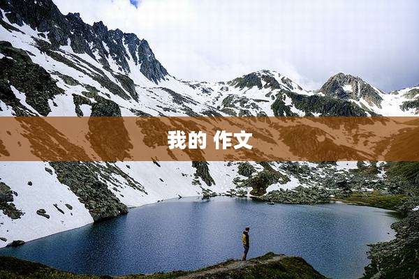 我的 作文