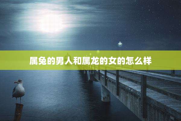 属兔的男人和属龙的女的怎么样