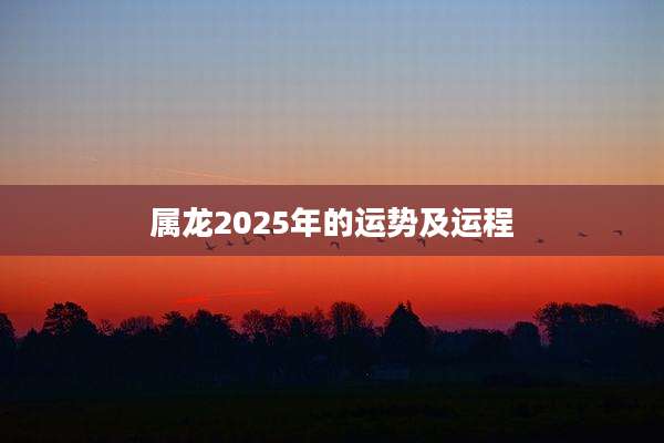属龙2025年的运势及运程