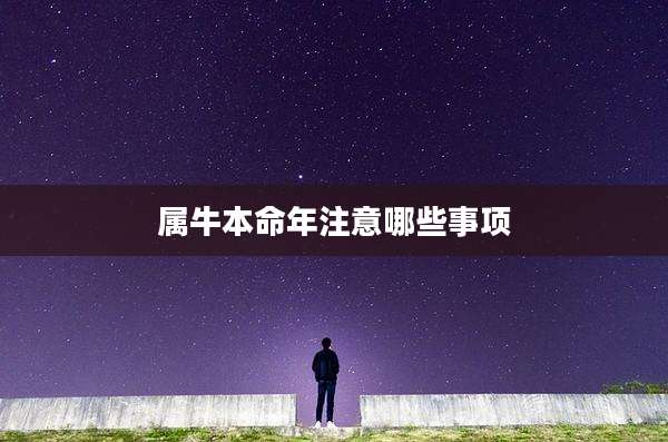 属牛本命年注意哪些事项
