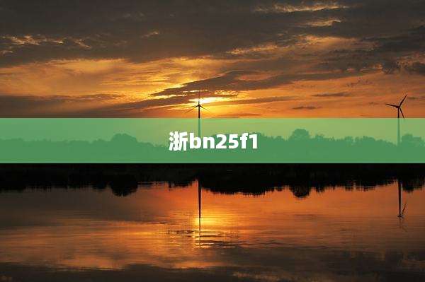 浙bn25f1