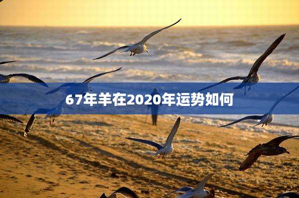 67年羊在2020年运势如何