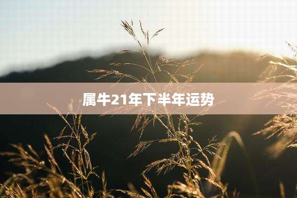 属牛21年下半年运势