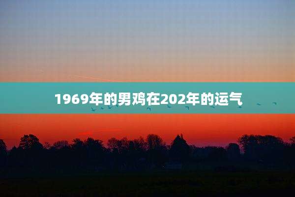 1969年的男鸡在202年的运气